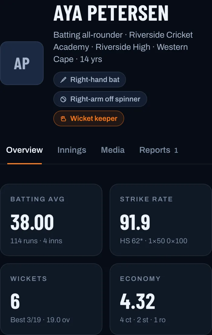 A player's record: batting average, strike rate, wickets and economy worked out from every match